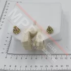 FAA435C1 Oiler for a Guide Rail