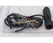 MAA177BA1 Magnetic Switch 1LV or DZI