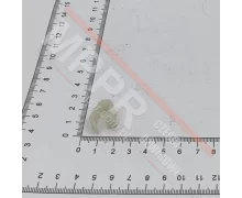 101014013 Spring for Fixing Push Panel