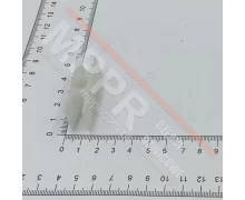 1011625P01 Guide Shoe for a Door Panel