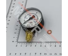 3007010138 LRV-1 Pressure Gauge