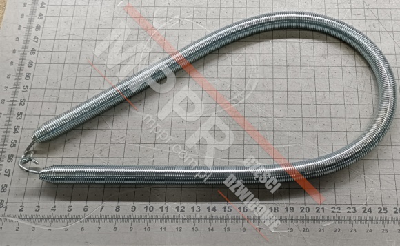 RSR.0000.TA013.00001.250FG.5600 Landing Door Spring, L560
